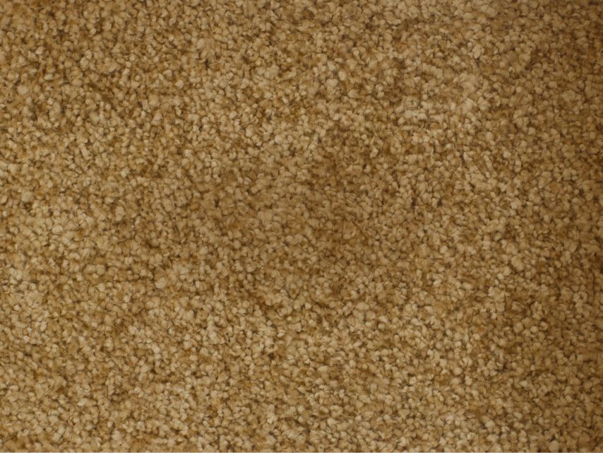 Detailfoto van kleurvaste SDN vloerbedekking van Montinique.