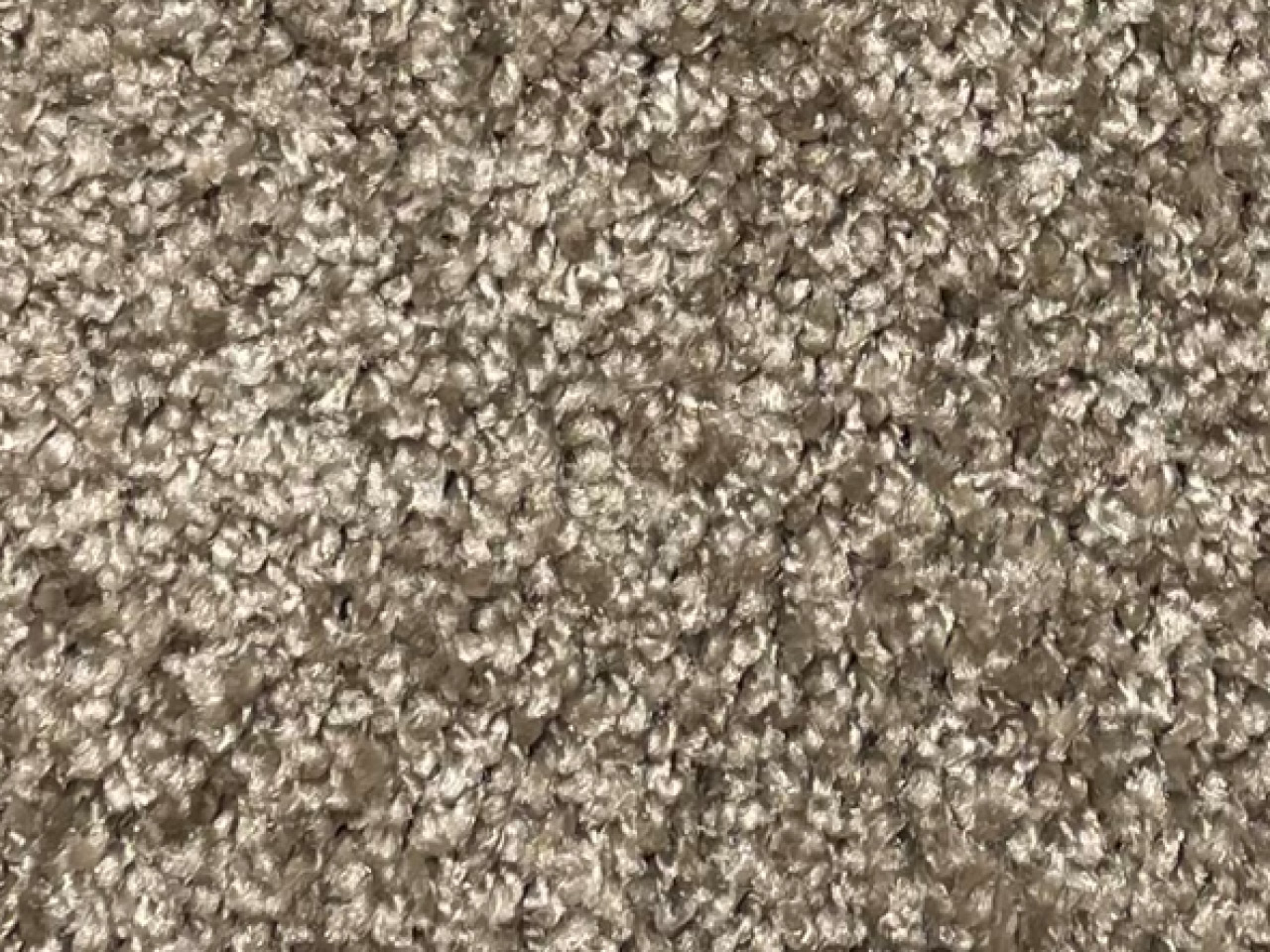 Rocks